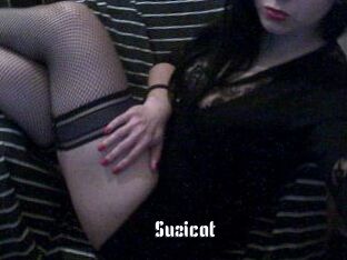 Suzicat