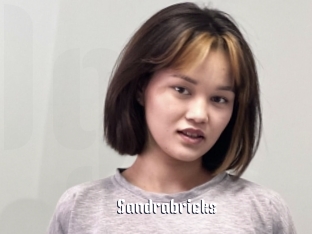 Sandrabricks