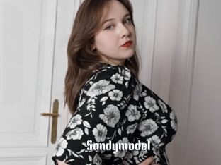Sandymodel