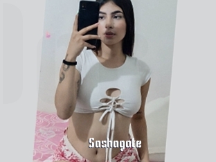 Sashagate