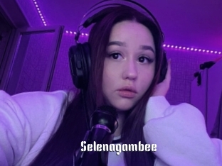 Selenagambee