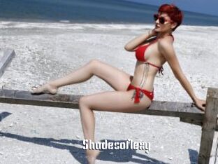 Shadesoflexy