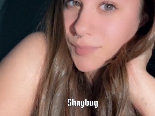 Shaybug