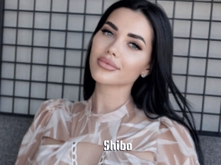 Shibo