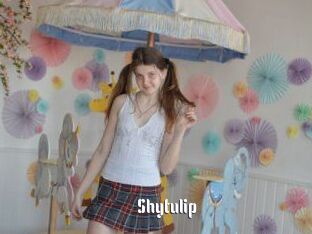 Shytulip