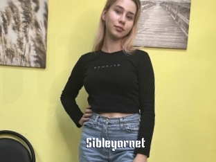 Sibleyarnet