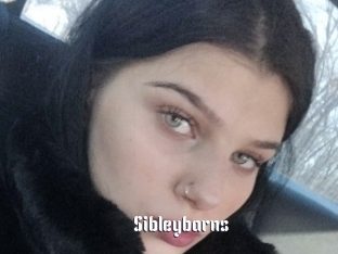 Sibleybarns