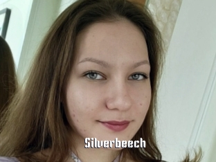 Silverbeech