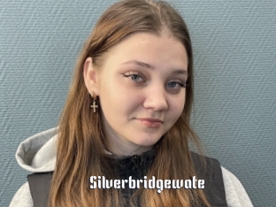 Silverbridgewate