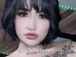 Sofiia_carterr
