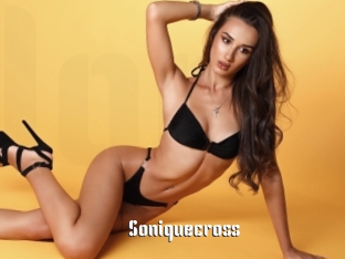 Soniquecross