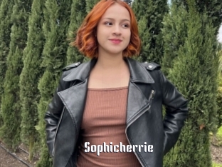Sophicherrie