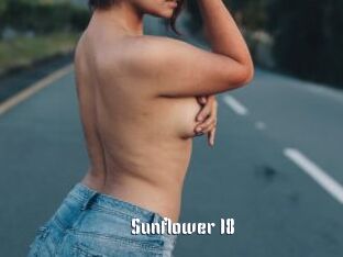 Sunflower_18