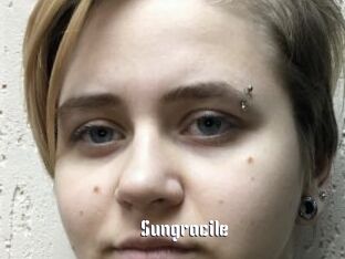 Sungracile