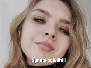 Synnovegledhill