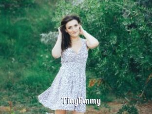 TinyEmmy