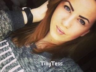TinyTess