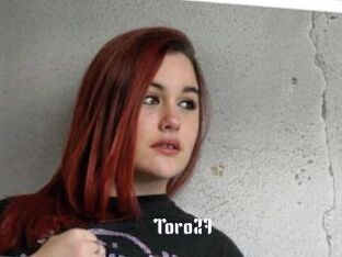 Toro27