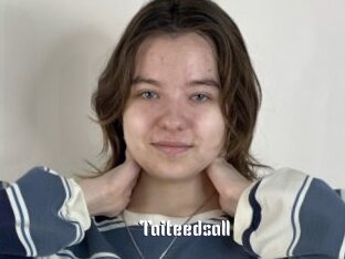 Taiteedsall