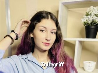 Taitegriff
