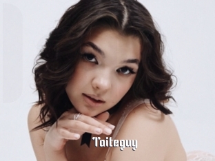 Taiteguy