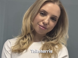 Taiteharrie