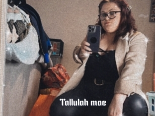 Tallulah_mae