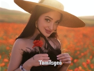 Tamilsgeo