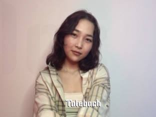 Tatebach