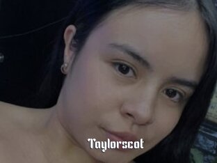 Taylorscot