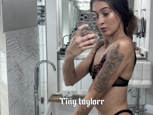 Tiny_taylorr