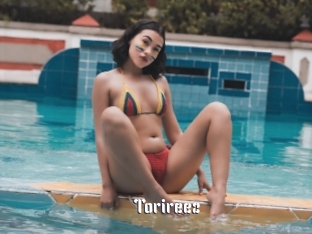Torireez