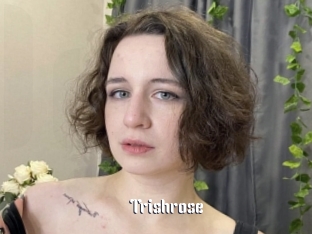 Trishrose