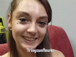 Trixysunflower