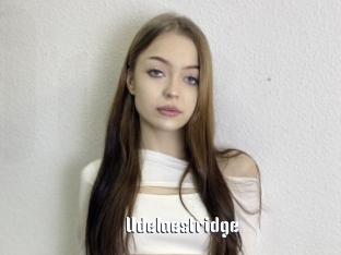 Udelaestridge