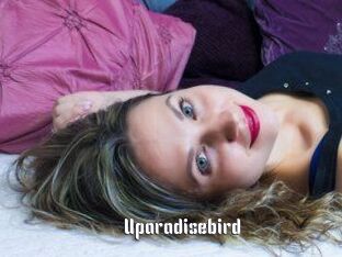 Uparadisebird