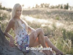 Ursecretsandy