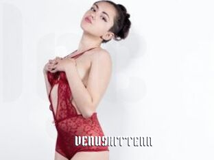 VENUSKITTENN