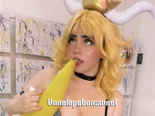 Vanelopebonsweet