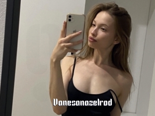 Vanesanazelrod