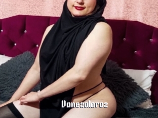 Vanezaloroz