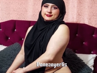 Vanezayerlis