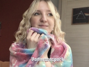 Vannessaspark