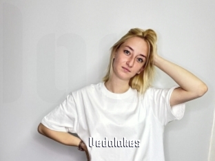 Vedalakes