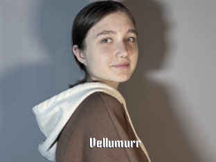 Vellumurr