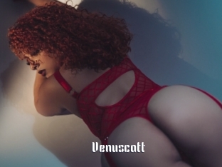 Venuscatt