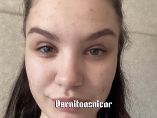 Vernitaasnicar