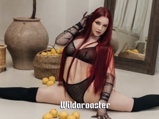 Wildaroaster