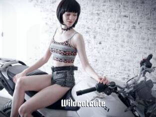 Wildcatcute