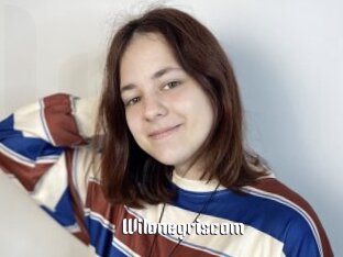 Wilonegriscom